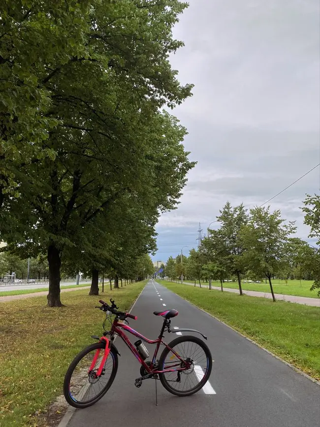 Plimbare liniștită pe alee verde